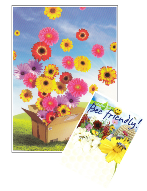 Wenskaarten met bloemzaden                                3 verschillende 10 soorten zaden