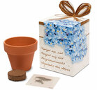 Greengift Vergeet Me Niet