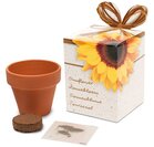 Greengift Zonnebloem