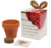 Greengift Brandende liefde