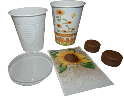 Flowercup Zonnebloem NL-BIO-01 35 stuks