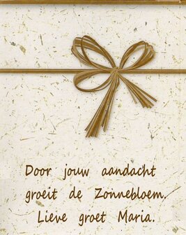 Greengift Zonnebloem