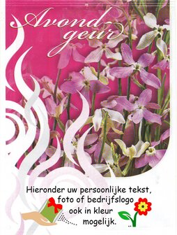 Avondgeur-Matholia zaden