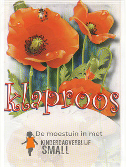 Papaver - Klaproos