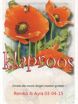 Papaver - Klaproos