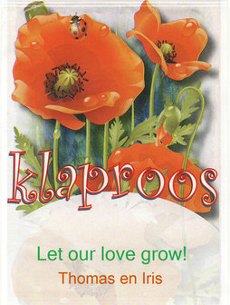 Papaver - Klaproos