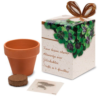 CG Greengiftdoosje assortiment in displaydoos