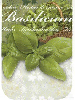 Basilicum