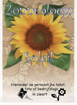 Zonnebloem NL-BIO-01