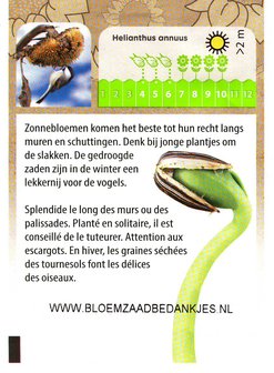 Zonnebloem NL-BIO-01 zakje met tekst/logo in kleur