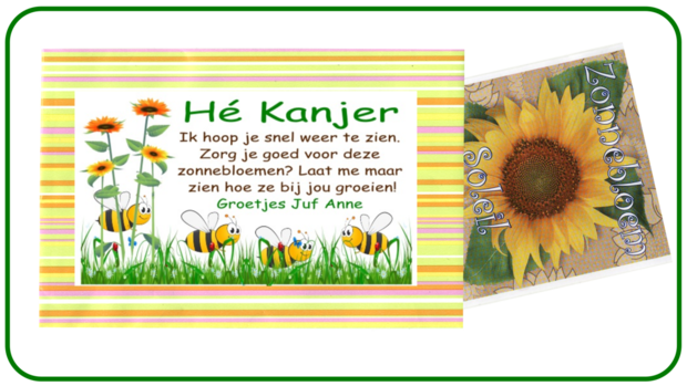 Happy stripes Zonnebloem