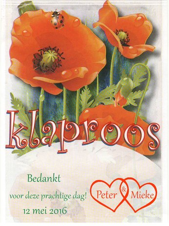 Papaver - Klaproos