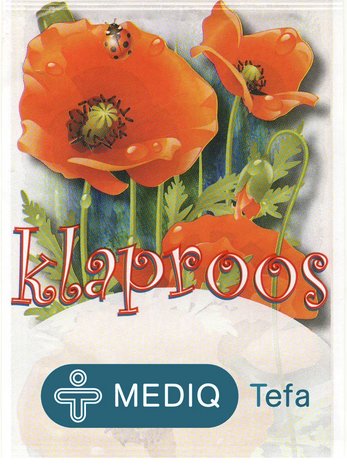 Papaver - Klaproos