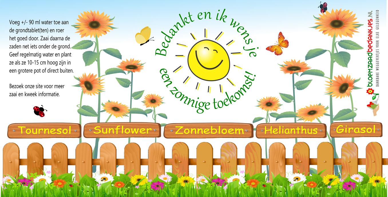 Flowercup voorbeeld Zonnebloem