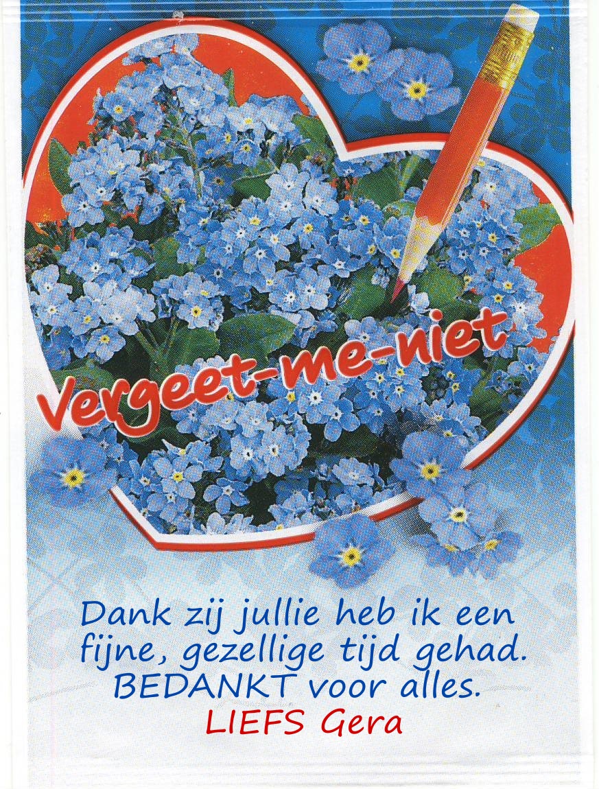 Uitdeelzakje Vergeet me nietjes