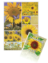 Wenskaart-zonnebloem-2