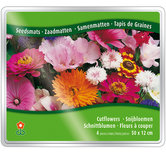 Zaadmat-Snijbloemen